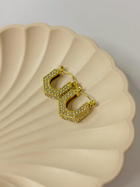 Fringe U-Shape Zircon Coated Earrings