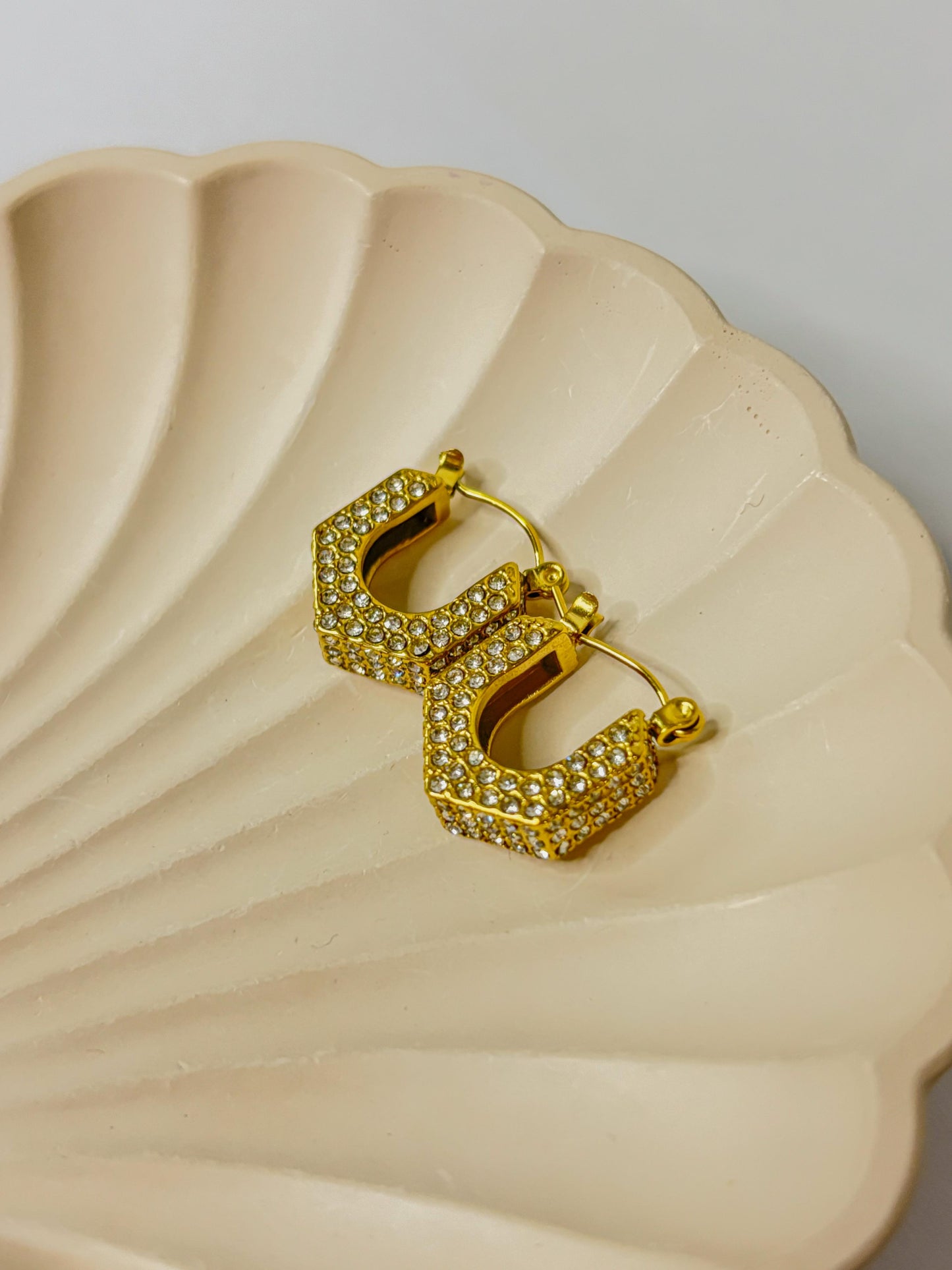 Fringe U-Shape Zircon Coated Earrings