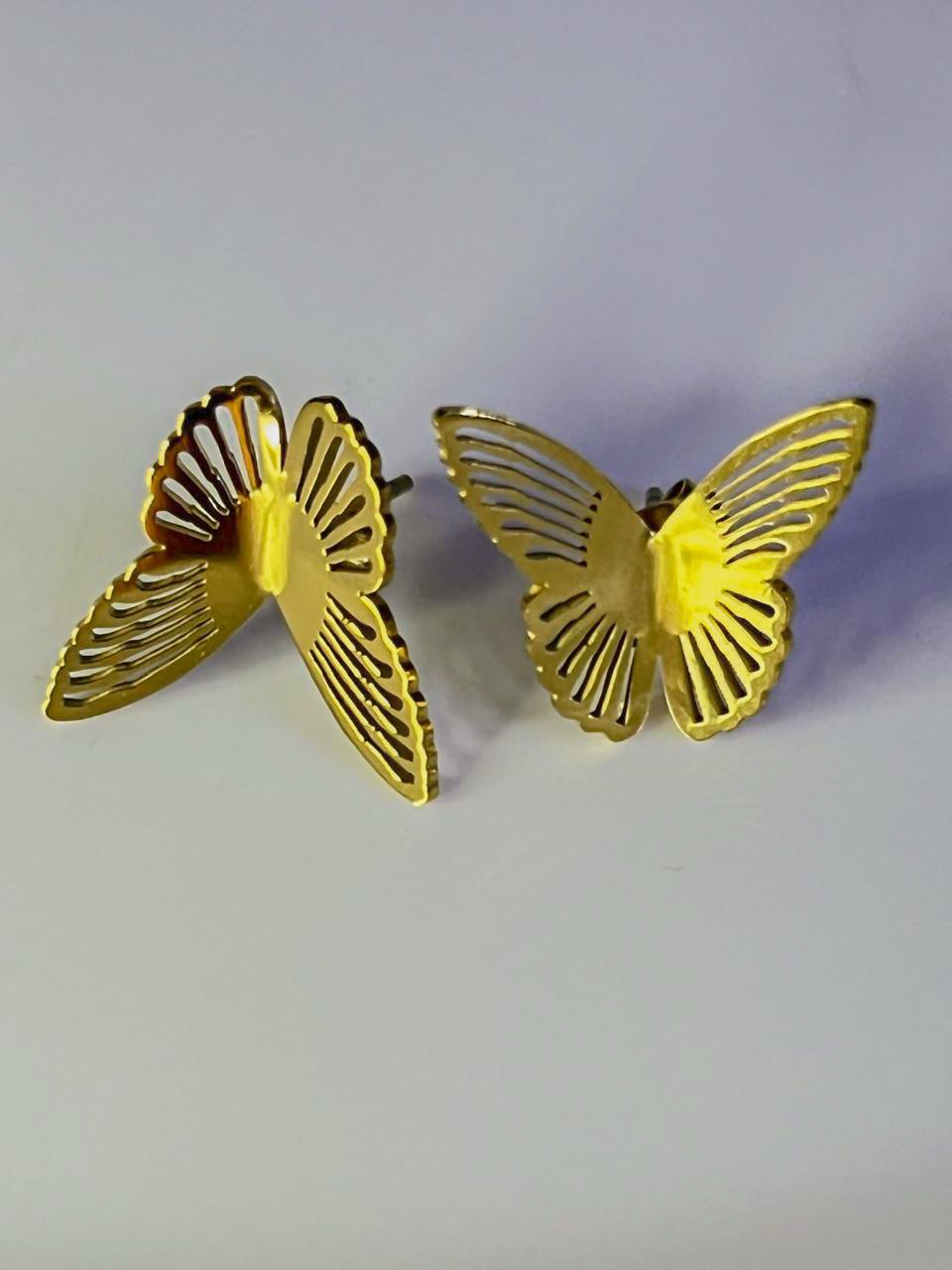 Frosted Butterfly Hollow Earrings